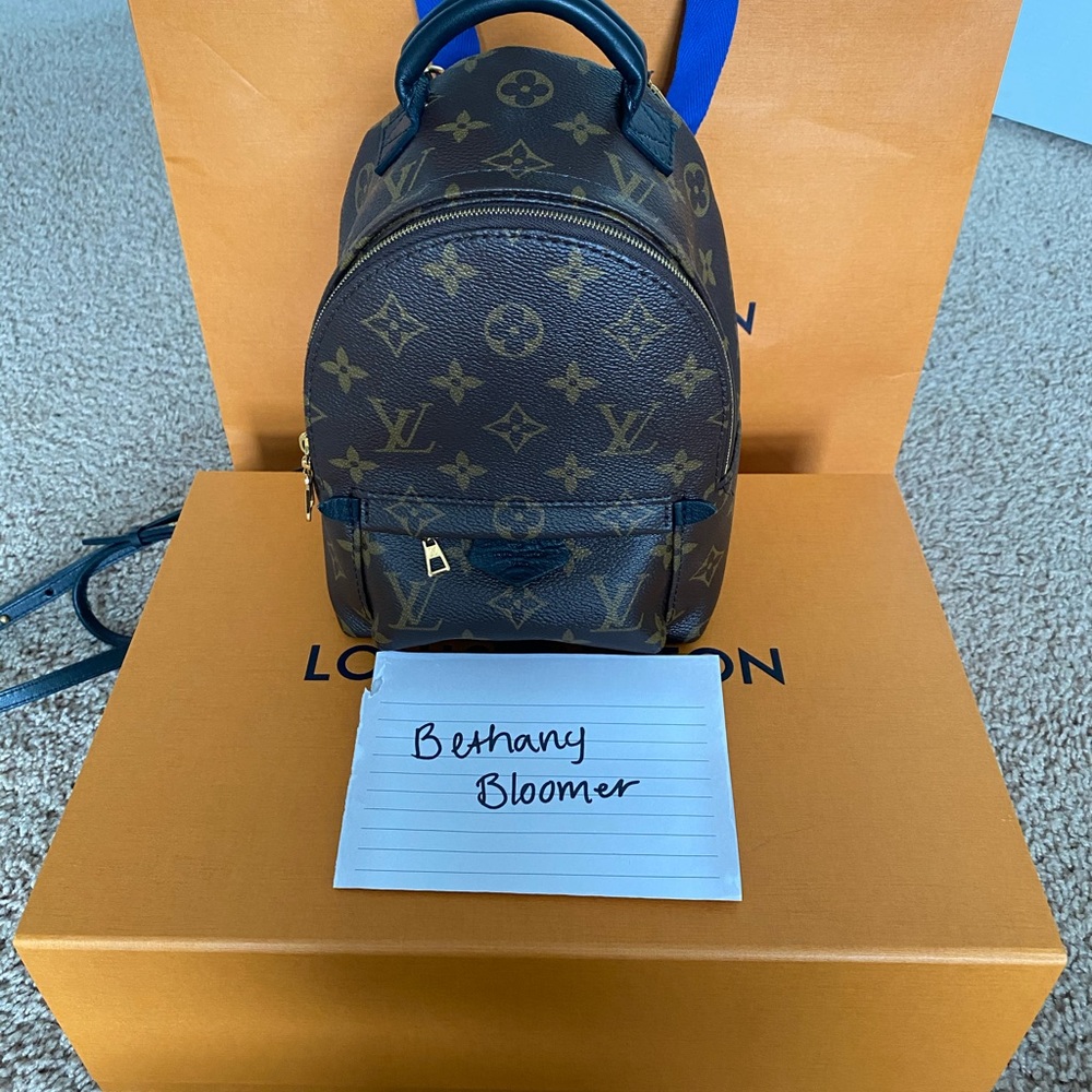 Louis Vuitton Palm Springs Mini **Updated Zipper**